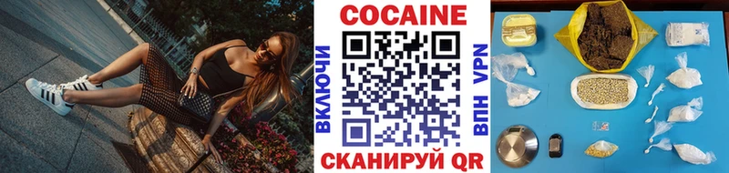 Купить  Нововоронеж  COCAIN FishScale 
